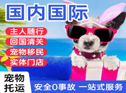 双流空运国际宠物托运 【国